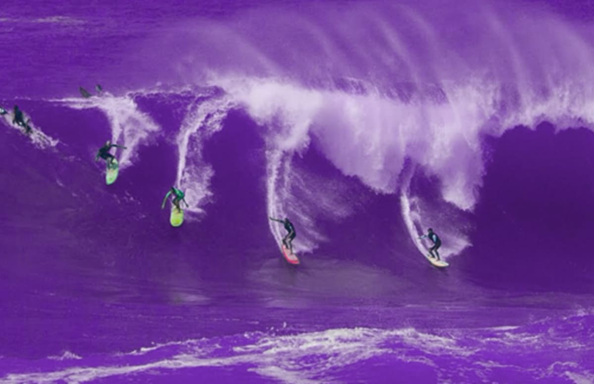 A Brief History of Surf Gangs and the Law Complex