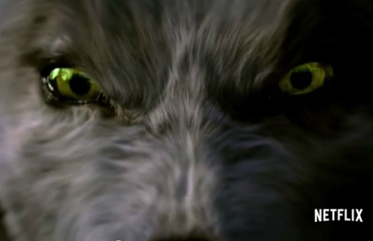 Did Eli Roth�s &quot;Hemlock Grove&quot; Shoot the Best Werewolf