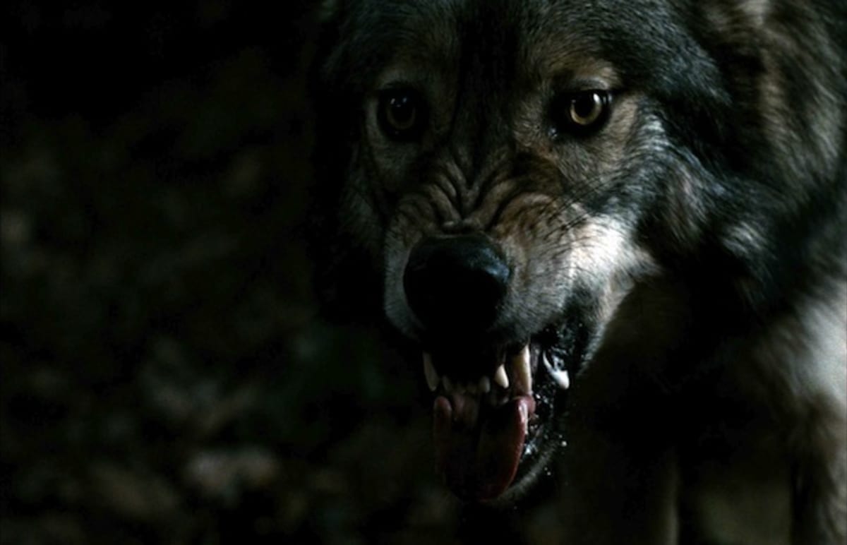 Universal Pictures Starts Filming An "Untitled Werewolf ...