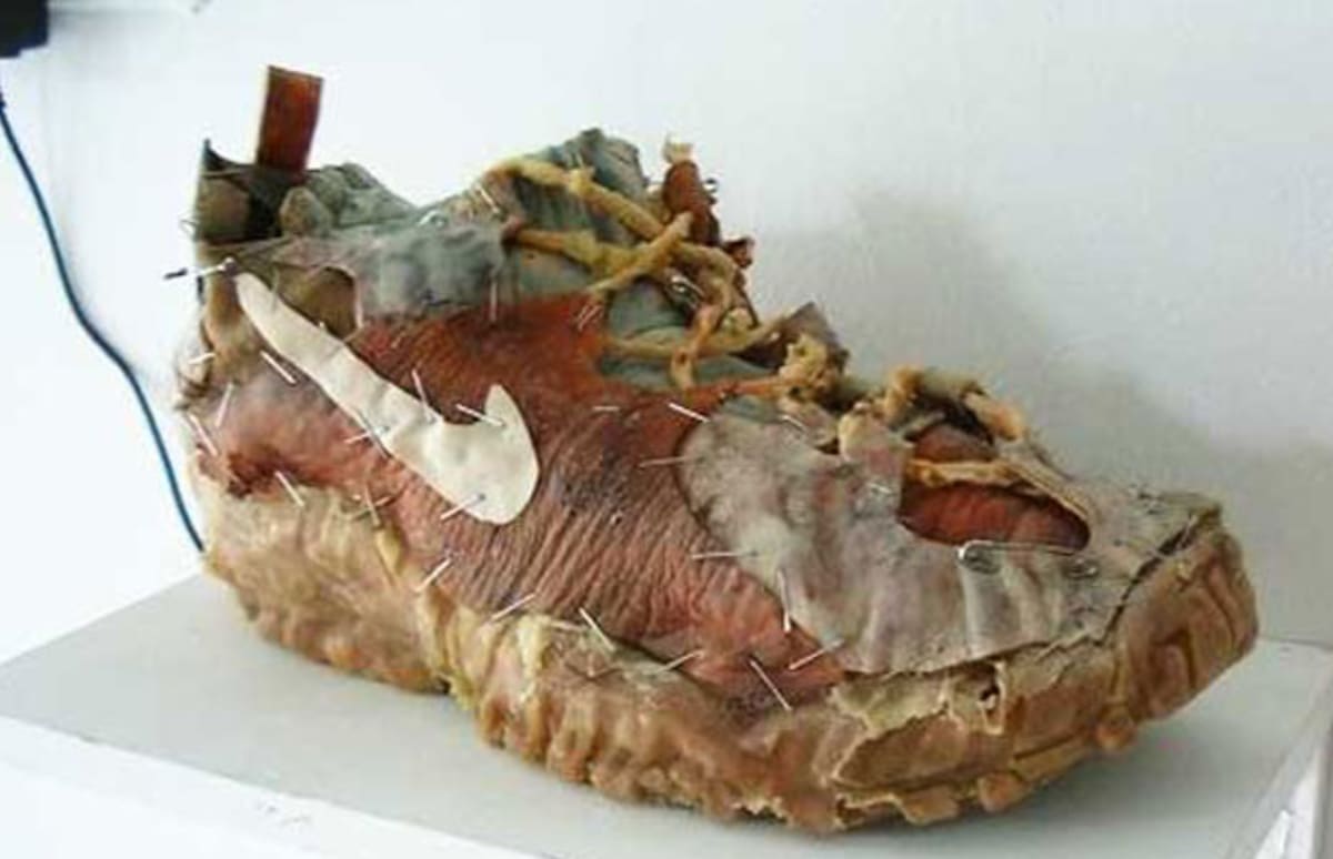 red leather shoes made of skin