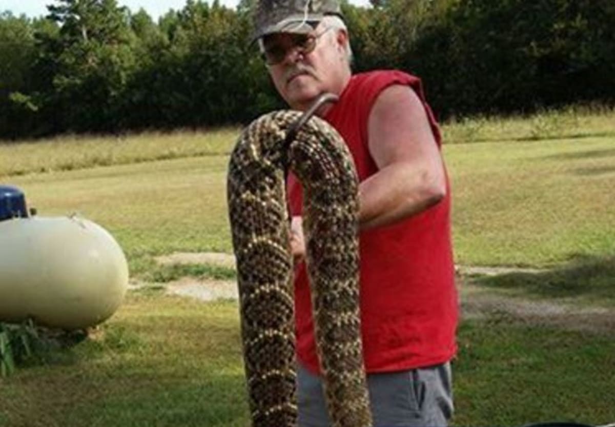 This Giant Rattlesnake Was Found In Arkansas Complex