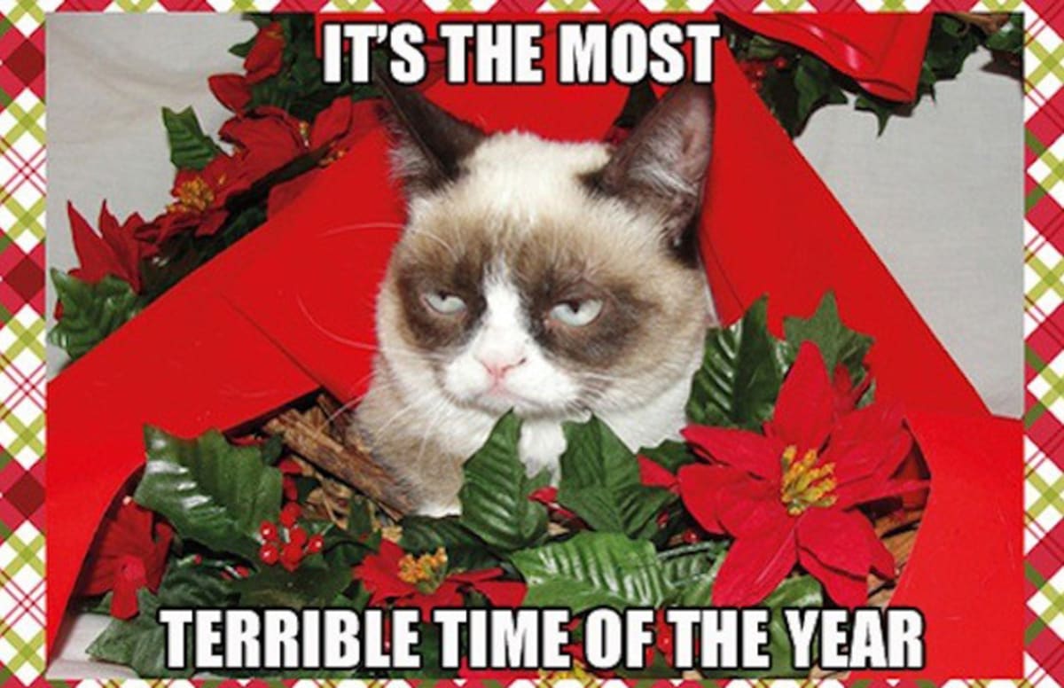 25 Hilarious Christmas Memes Complex