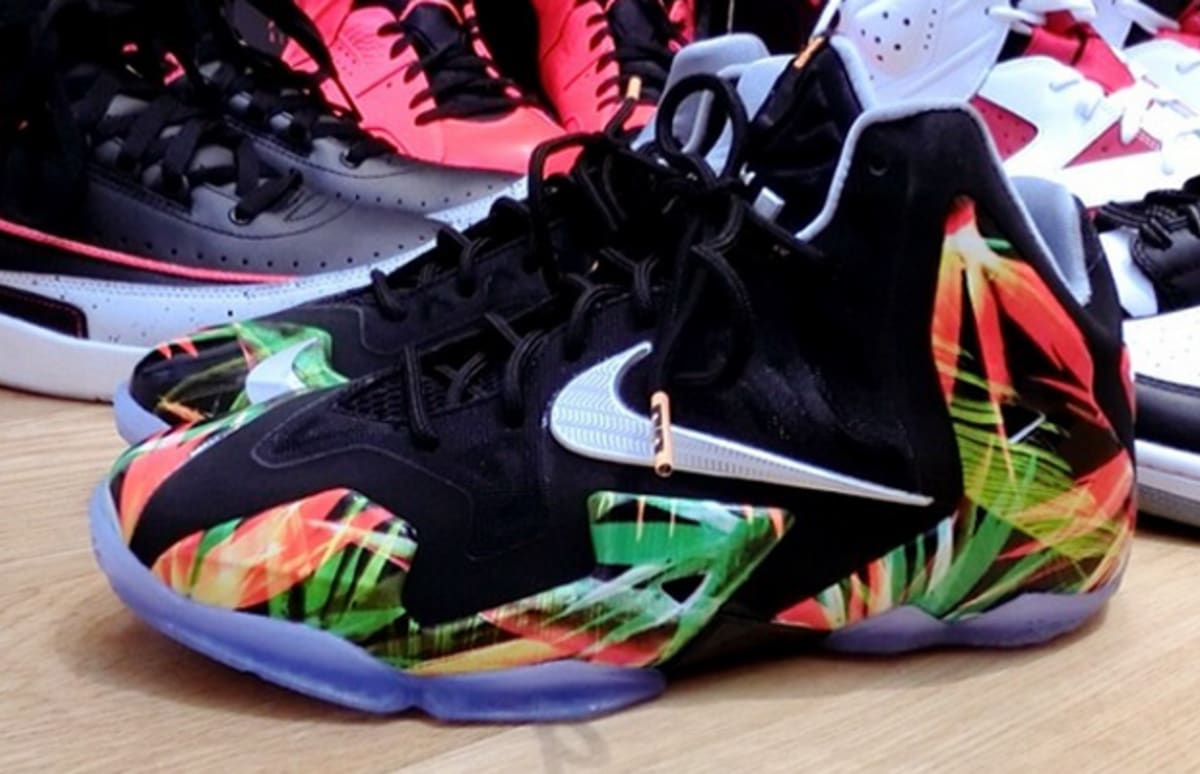 lebron 11 kings pride