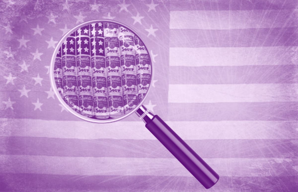 Dread Scott Patriotism 101 An Art History Of The American Flag Complex