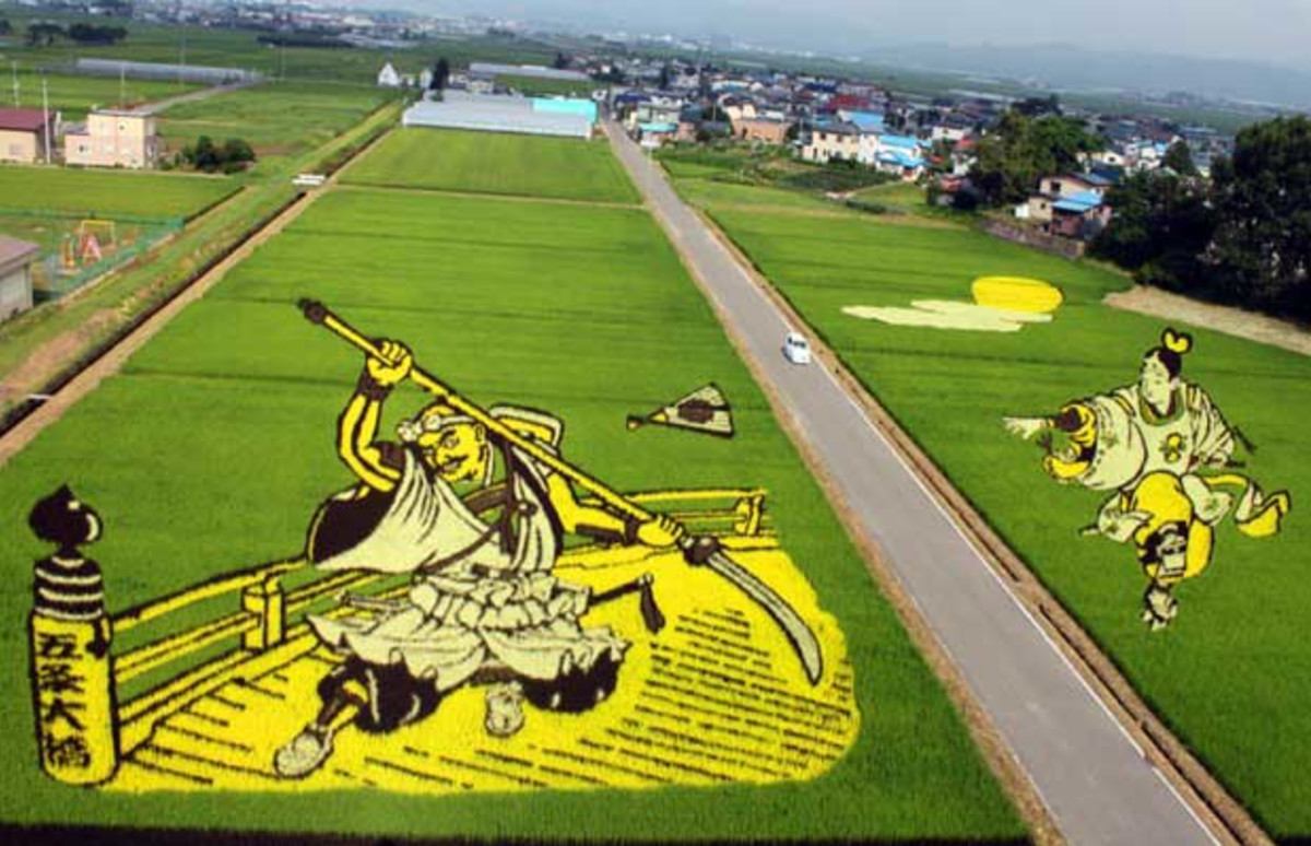 The 10 Coolest Examples Of Rice Paddy Art Complex
