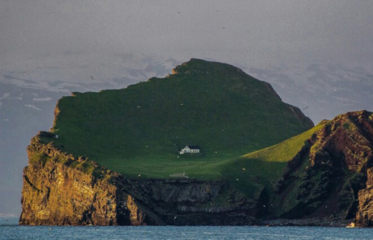 Iceland Has Given Björk an Island to Thank Her for Cultural