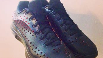 kd 8 elite knee high