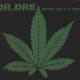 Dr. Dre feat. Snoop Dogg, "Nuthin' but a 'G' Thang" (1992)