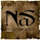 Nas Feat. Lauryn Hill, "If I Ruled The World (Imagine That)" (1996)