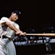 Ted Williams