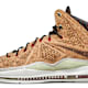 Nike LeBron 10