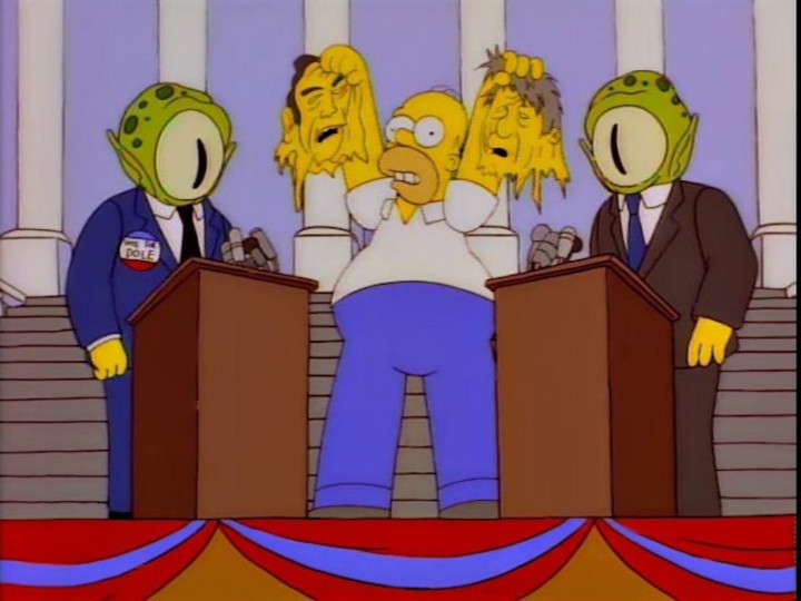 Homer Simpson Goes to Washington: American Politics through Popular Culture (None)