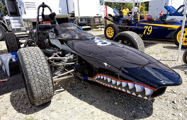 shark in a car