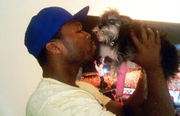 60 Awesome Photos Of Rappers With Puppies Complex