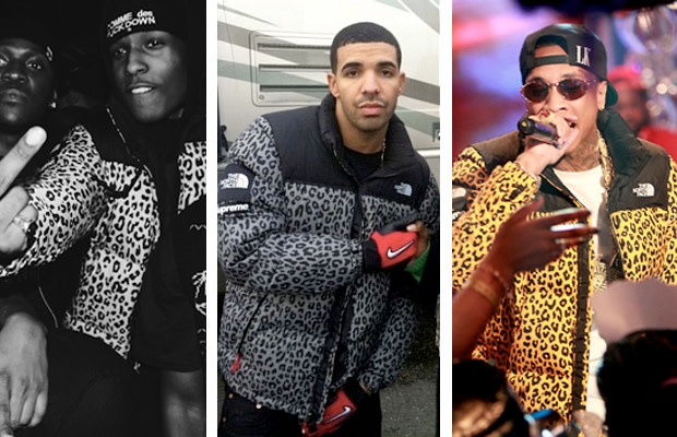 north face cheetah print jacket