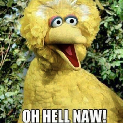 The 15 Best Big Bird Memes from the First Presidential Debate | Complex