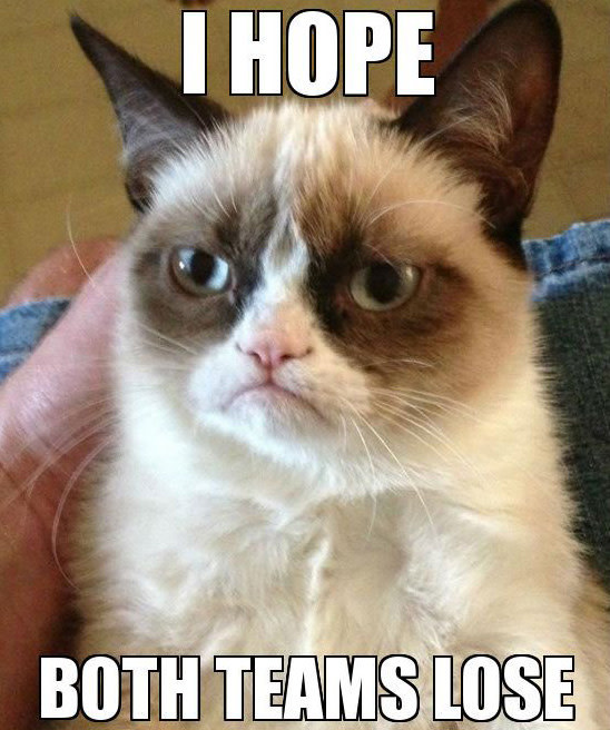 10 Hilarious Grumpy Cat Super Bowl Memes Complex
