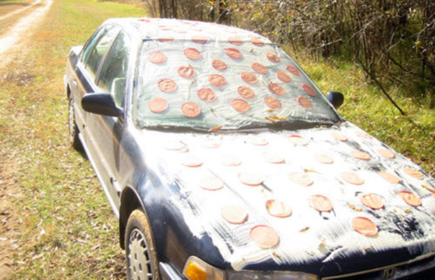The 9 Worst Types Of Car Vandalism Complex