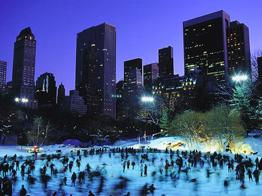 Trump Wollman Rink at Central Park - The 10 Most Romantic Spots in NYC ...