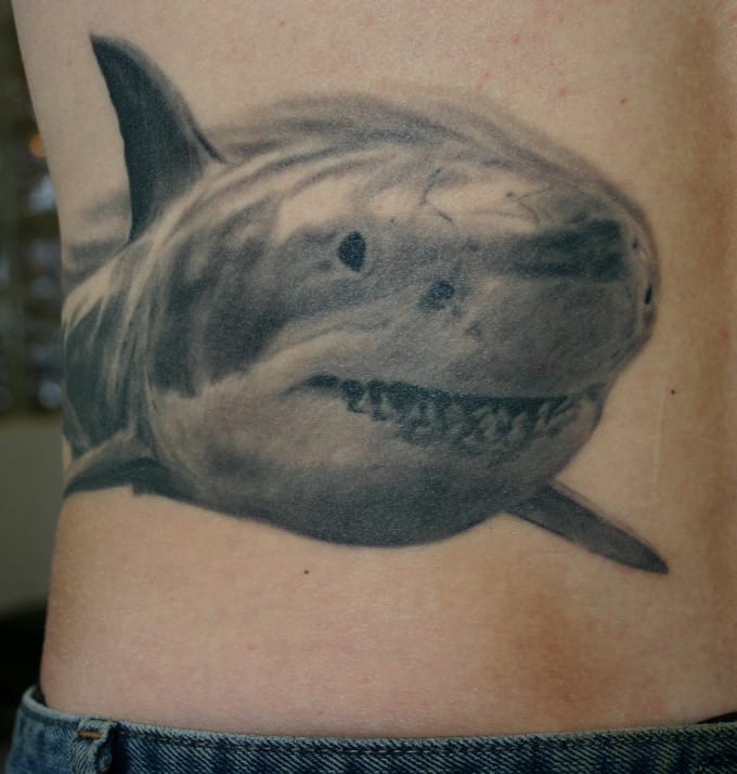 25 Awesome Shark Tattoos Complex