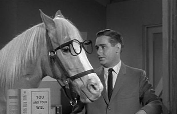 Mr. Ed - 25 Beloved TV Shows That Haven't Aged Well | Complex