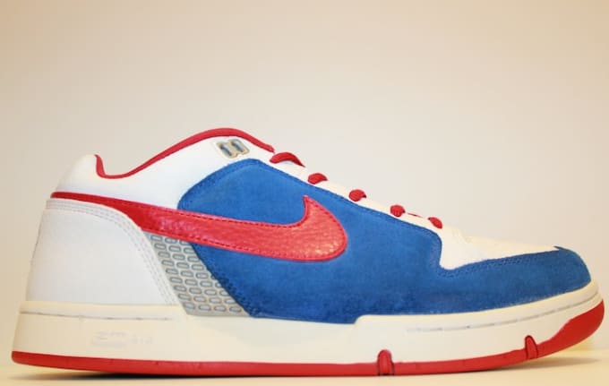 mens nike sbs