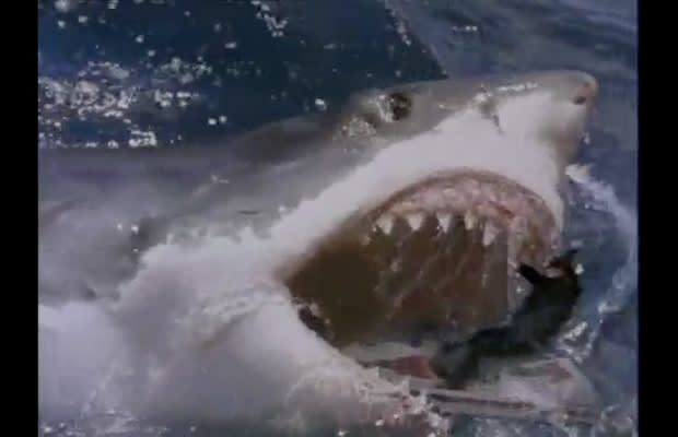 Megalodon Jet Ski - Gallery: The Best Shark Attacks In Movies | Complex