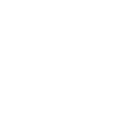 Carrots By Anwar Carrots