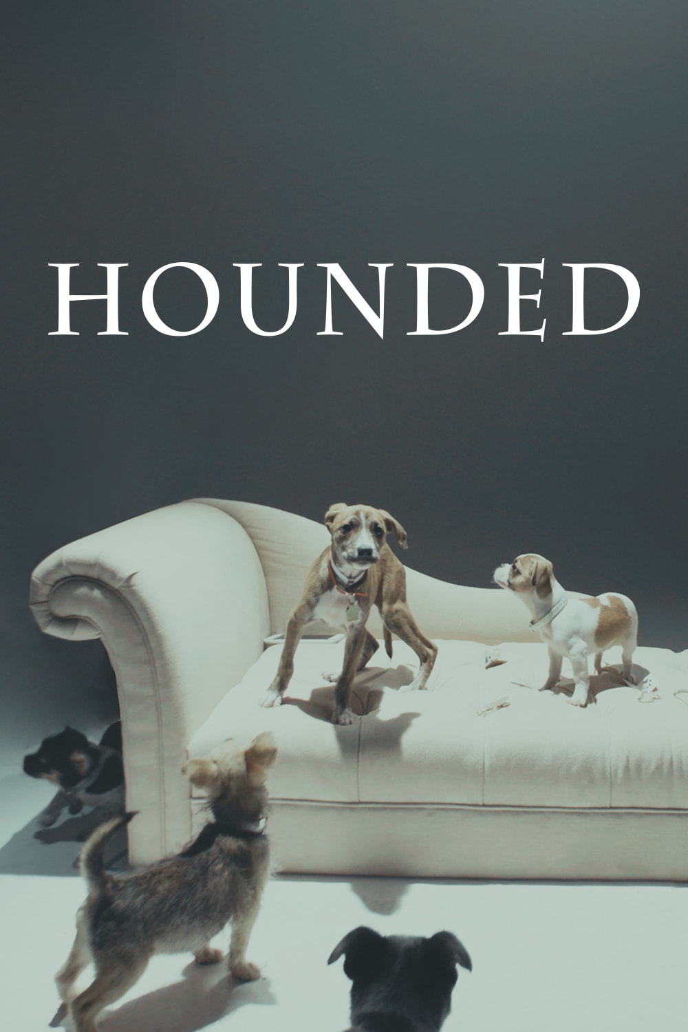Hounded