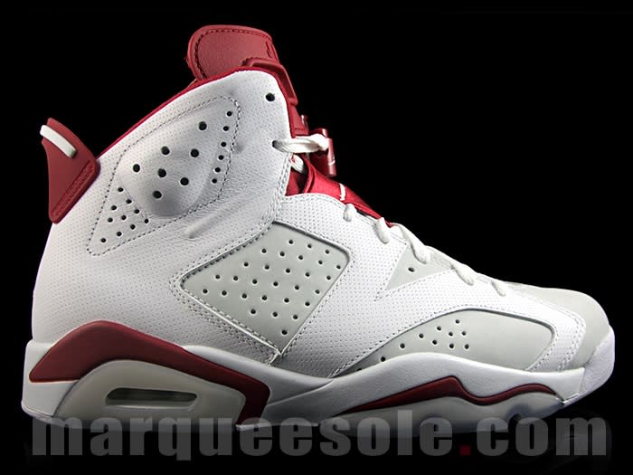 Alternate Air Jordan 6 Profile