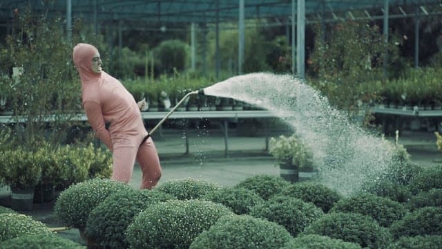 Pink Guy