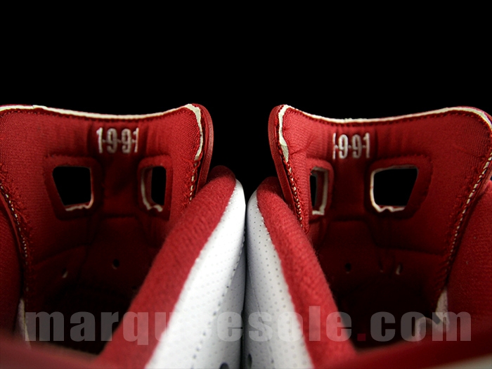 Alternate Air Jordan 6 Tongue