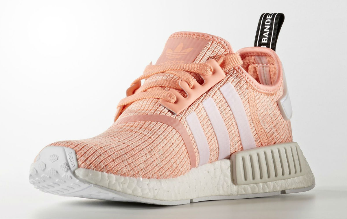 coral nmds