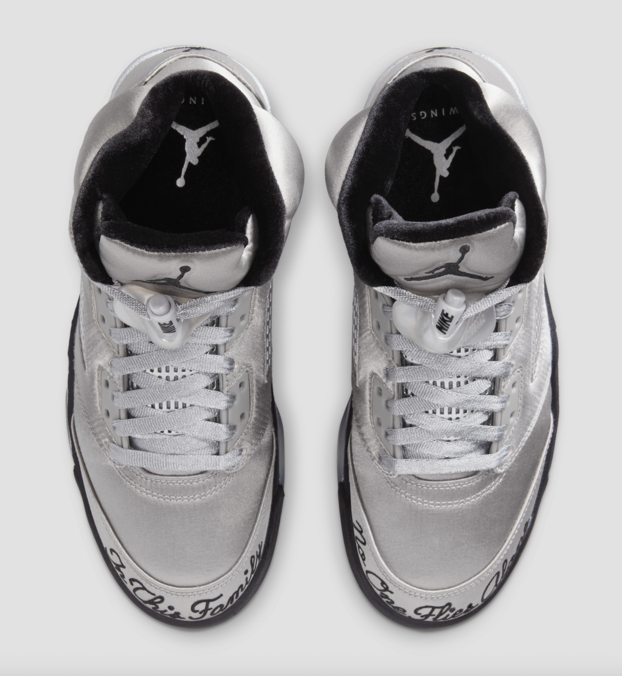 'Wings' Air Jordan 5