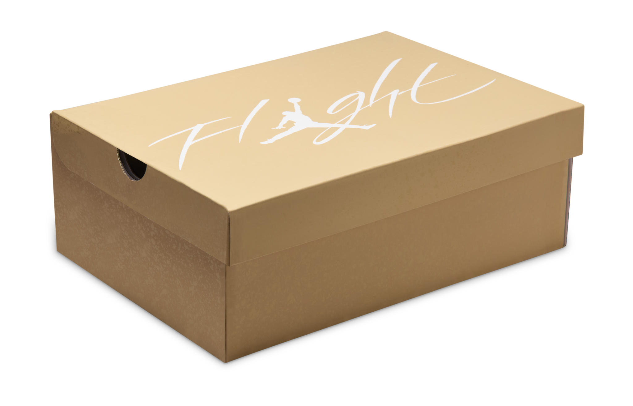 'Cozy Girl' Air Jordan 4