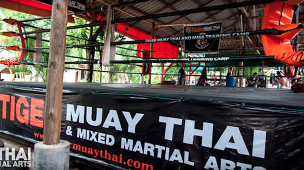 Tiger_Muay_Thai