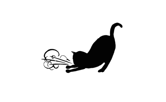 Asthmatic Kitty