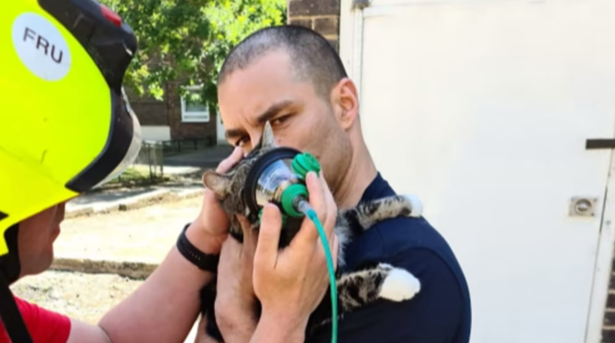 Cat Saved From London Fire Thanks To New Pet Oxygen Mask