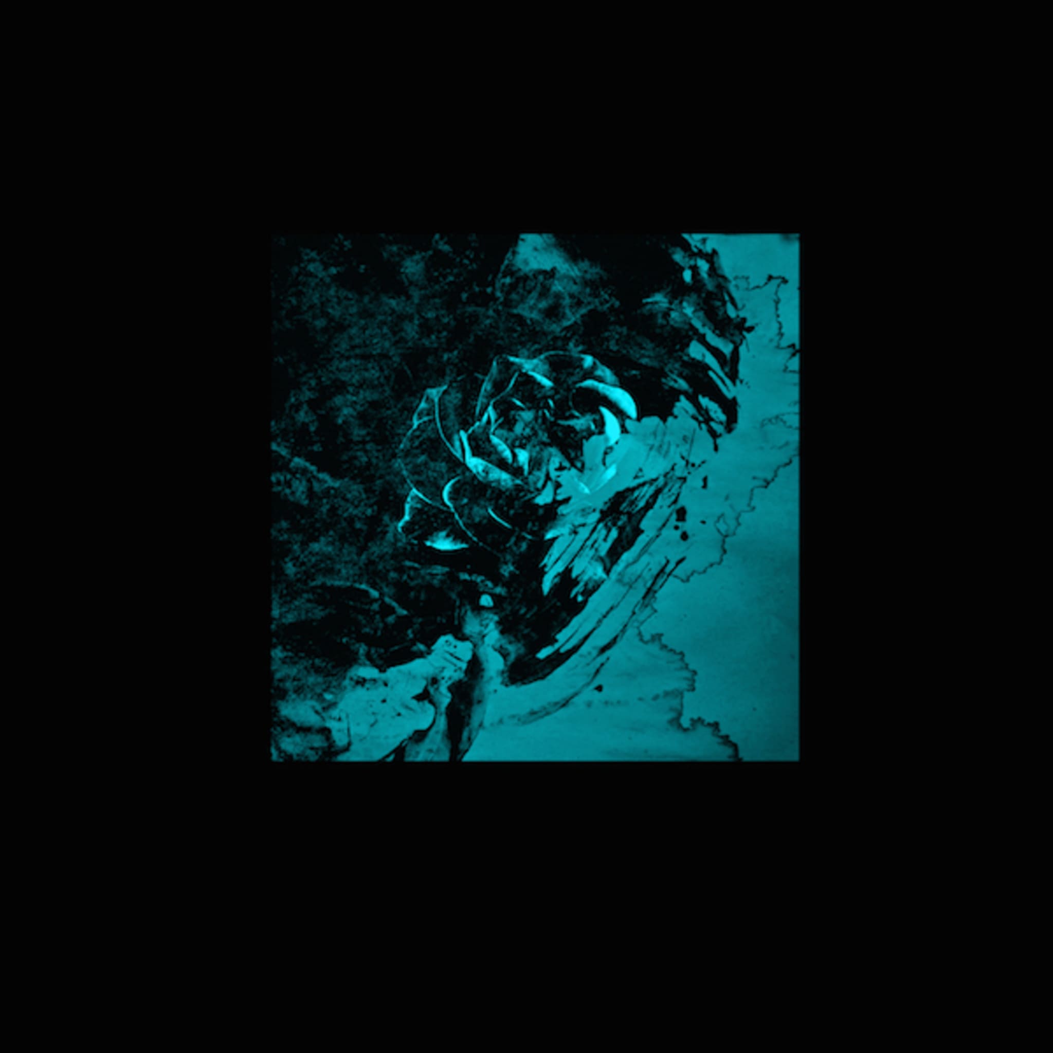 floresartOceans