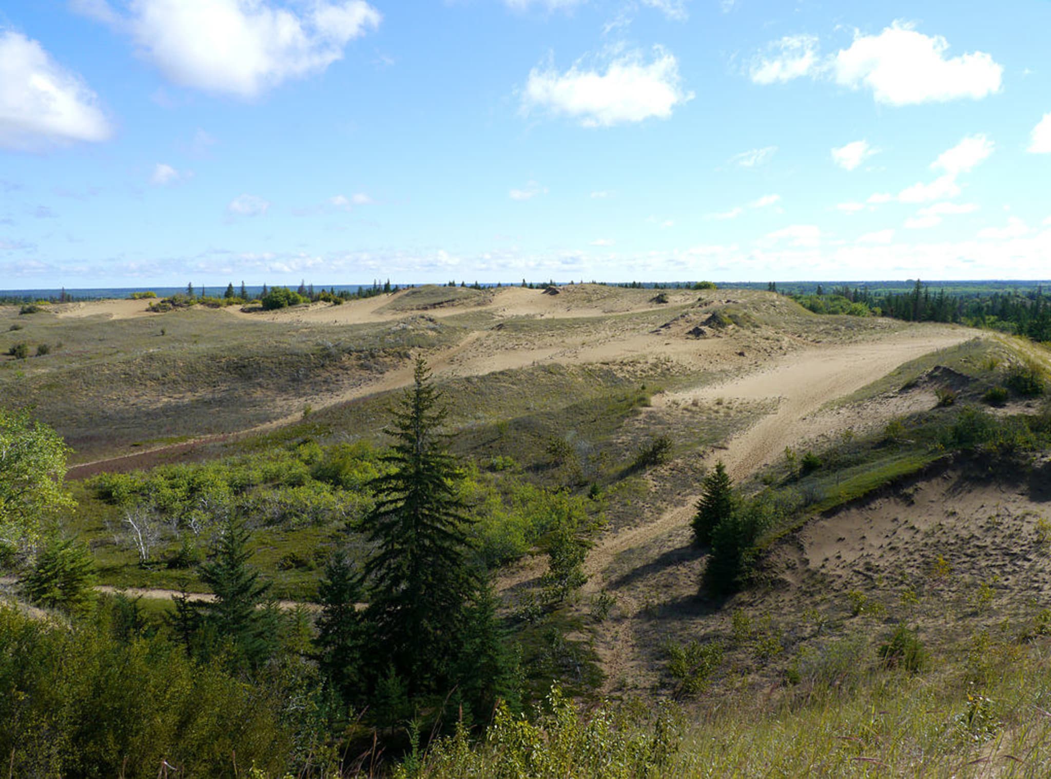 sand dunes at Spirit Sands, located in the vast Spruce Woods Provincial Park