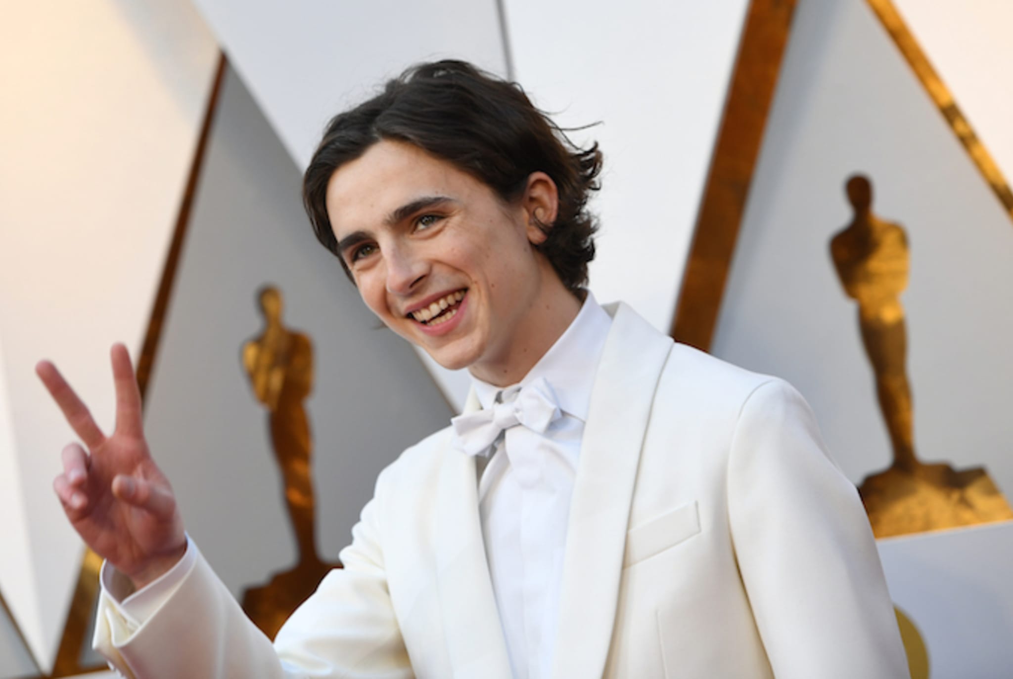 Timothee Chalamet Kid Cudi
