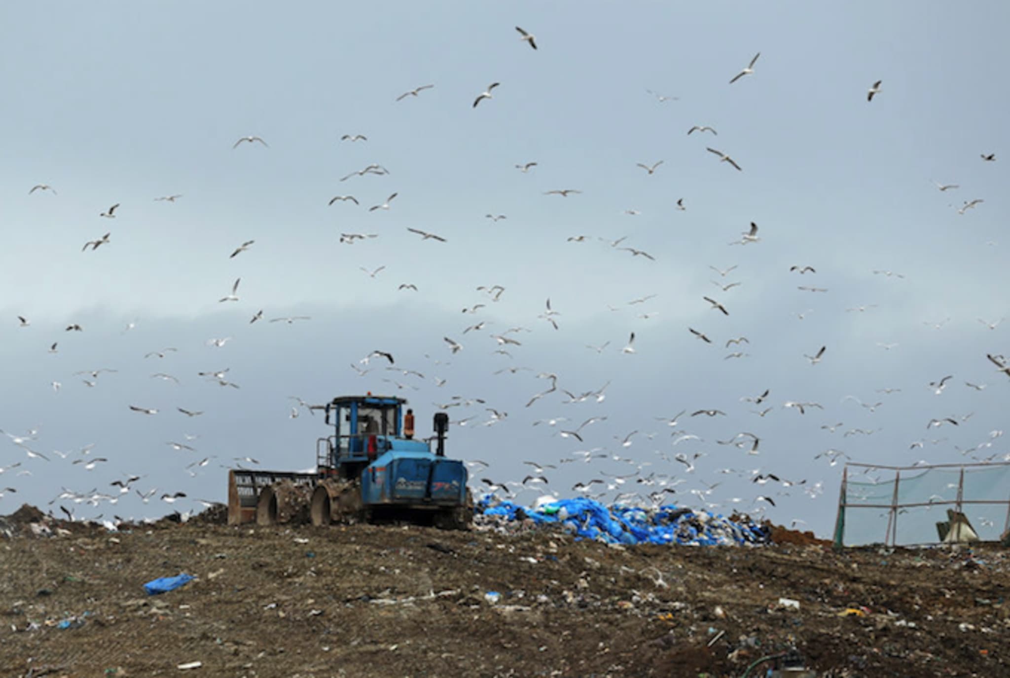 Landfill