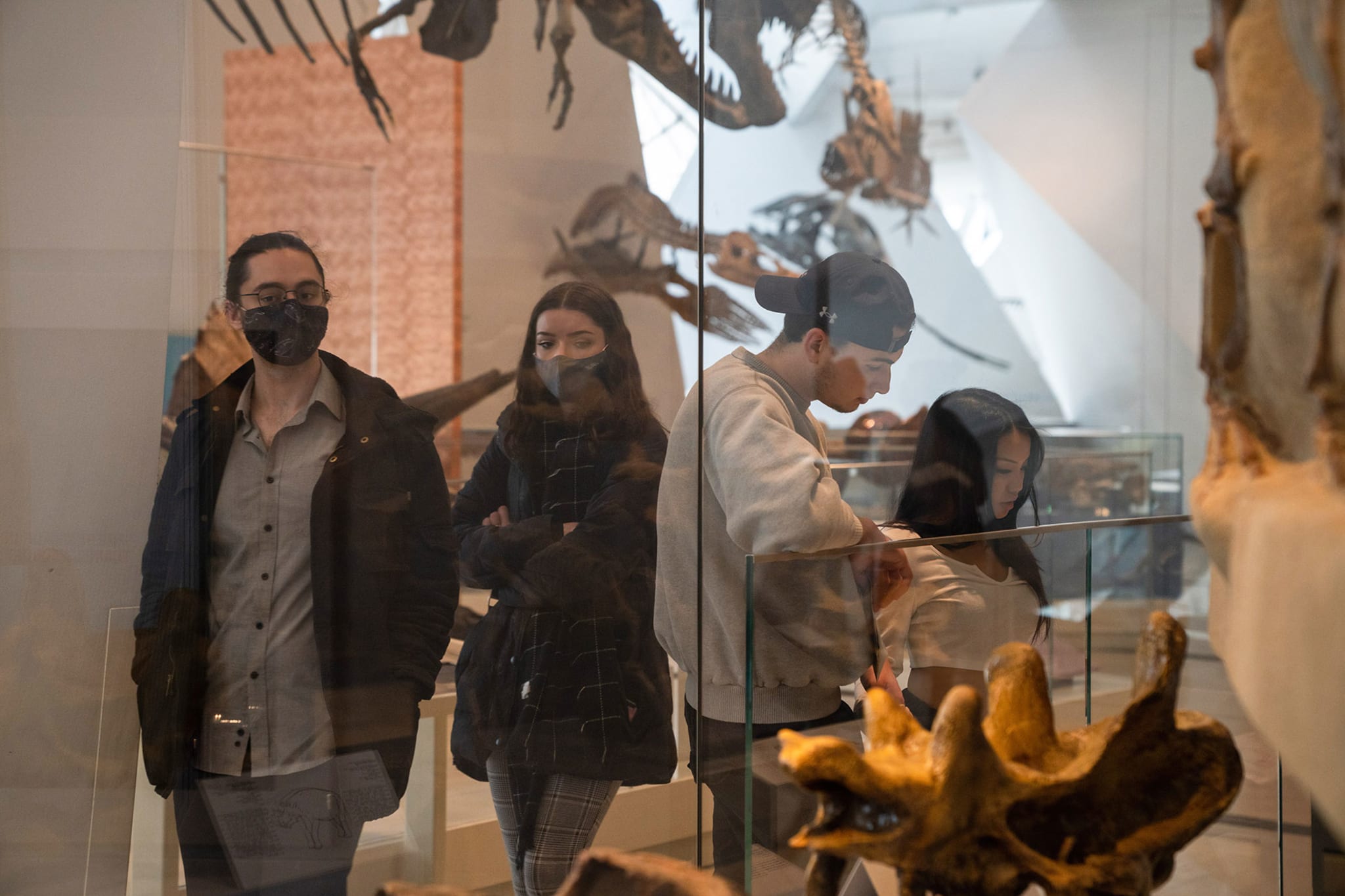 A masked couple walks through the dinosaur exhibition museum. Ontario's mask mandate against Covid-19 has been lifted