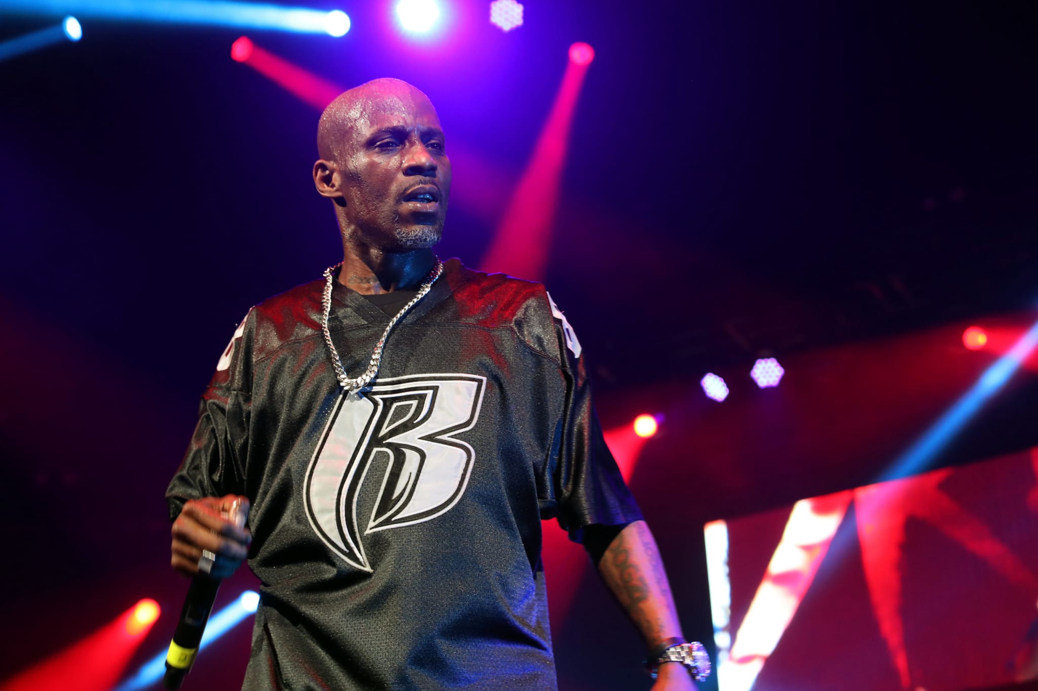 dmx-pic