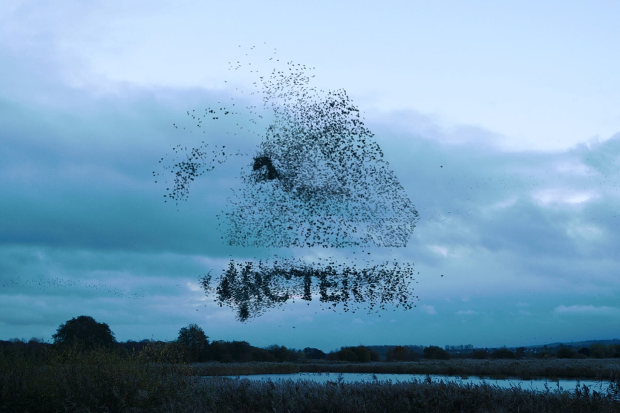 palace skateboards arcteryx collaboration 001