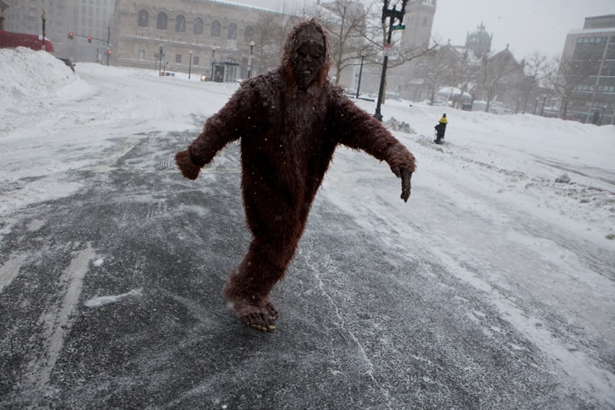 bigfoot