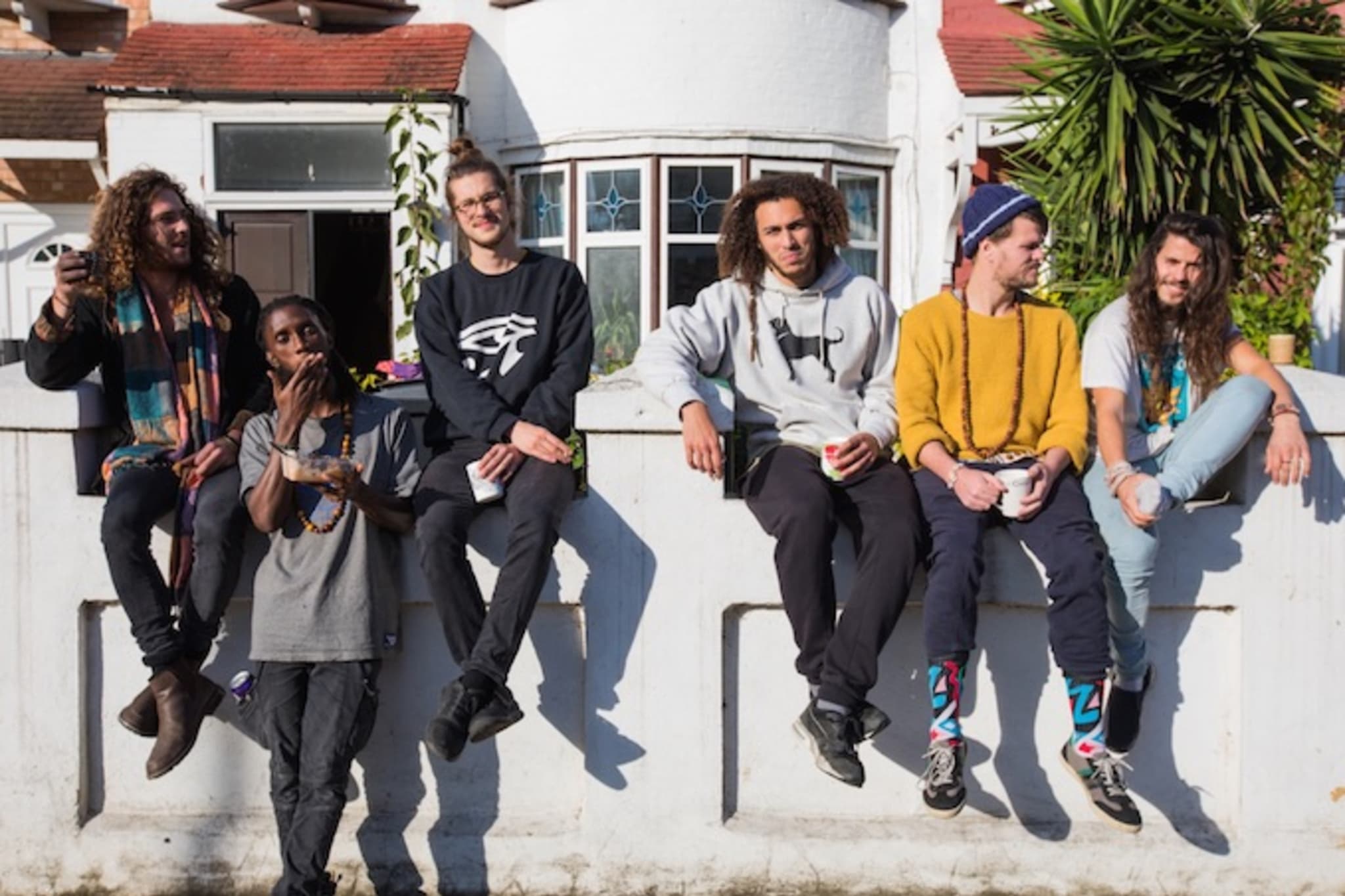 Cykada (credit: D. Woodfield)