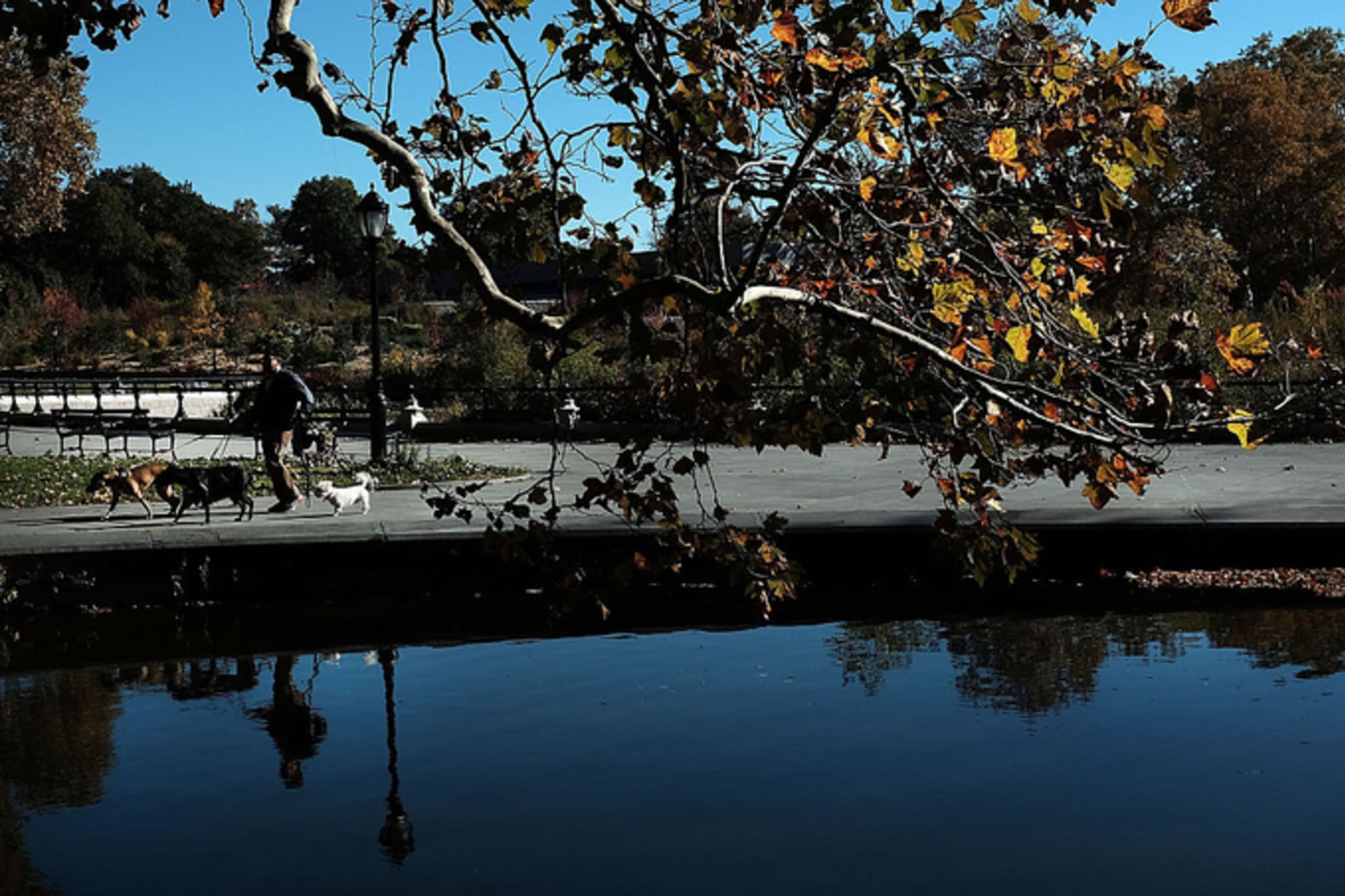 Brooklyn's Prospect Park