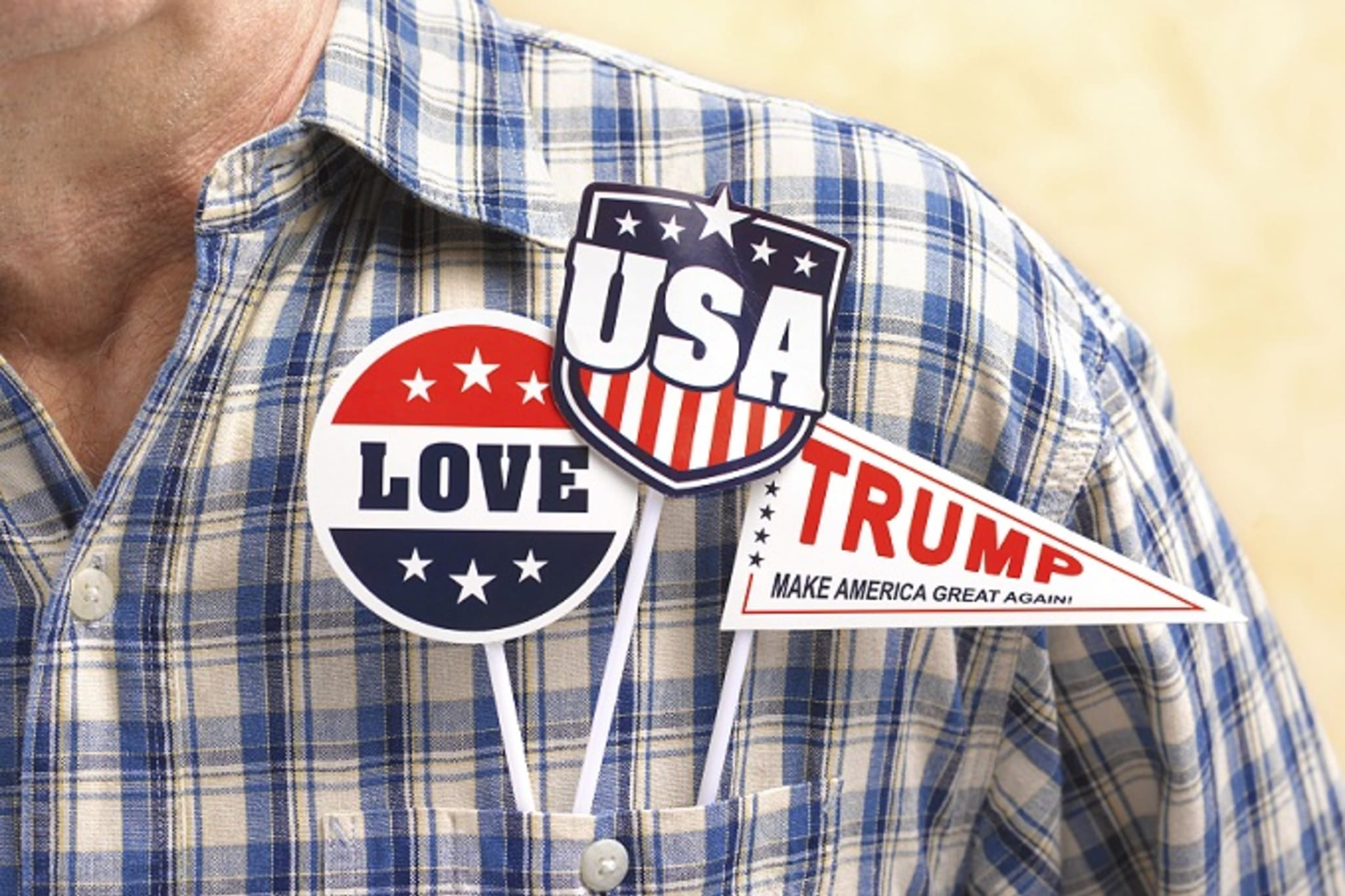 Trump fan