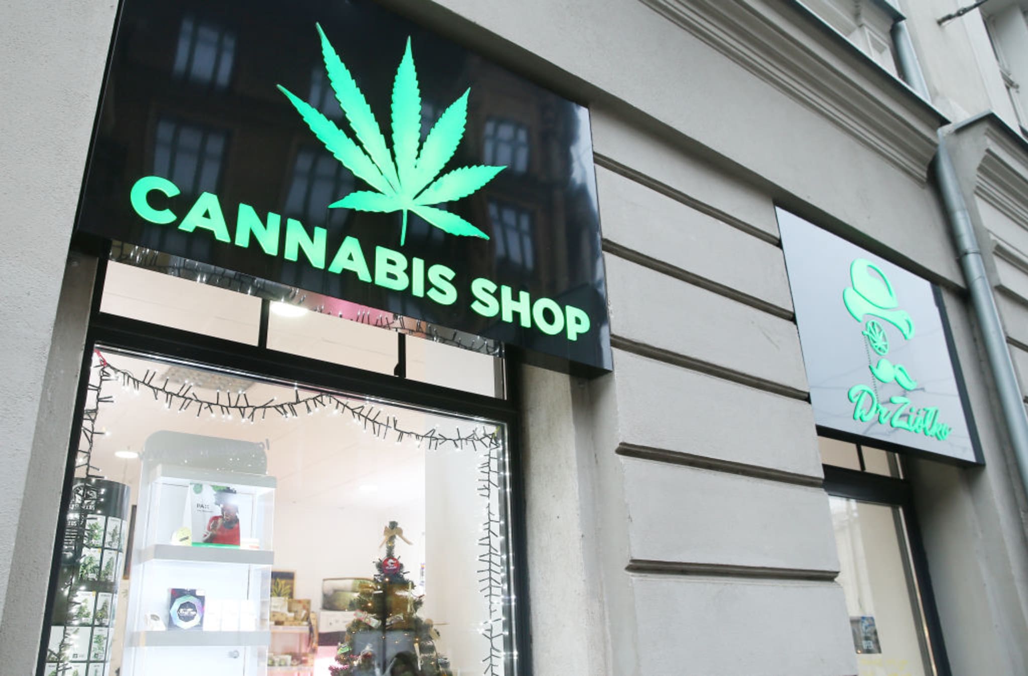 cannabis shop